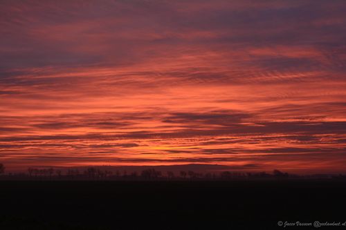 morgenrood