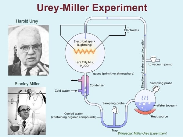miller experiment