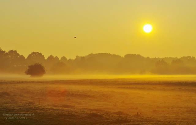 herfst nadert wouter