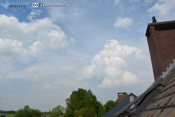 wolk cumulus congestus