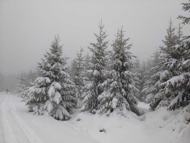 halve meter sneeuw in Ardennen