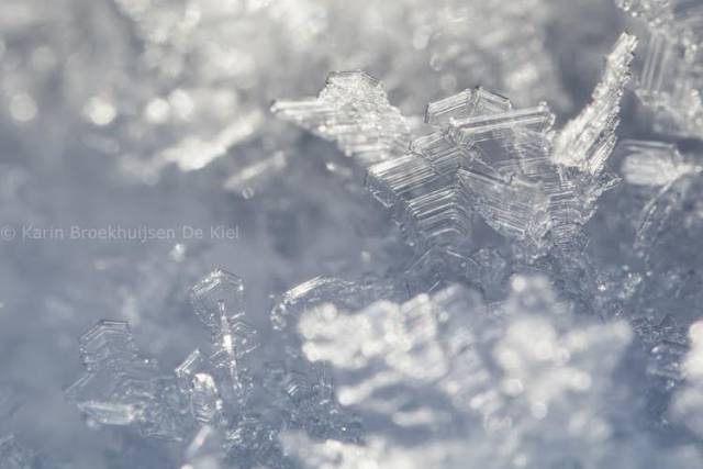 ijskristallen op takjes