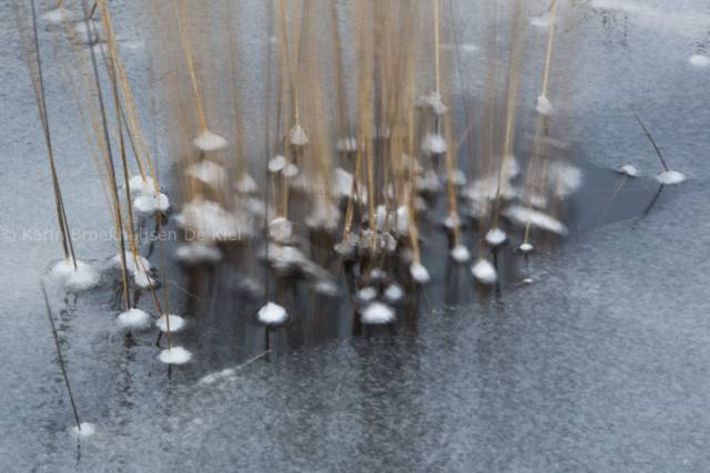 grassprieten bevroren in water