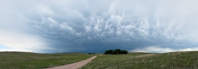 Mammatus