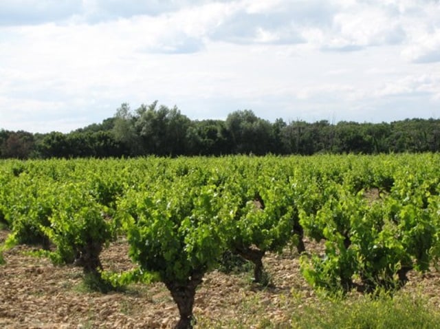 cotes-du-rhone