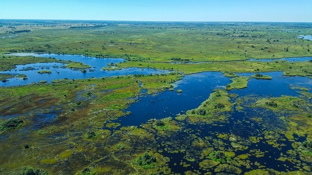 De Okavangodelta