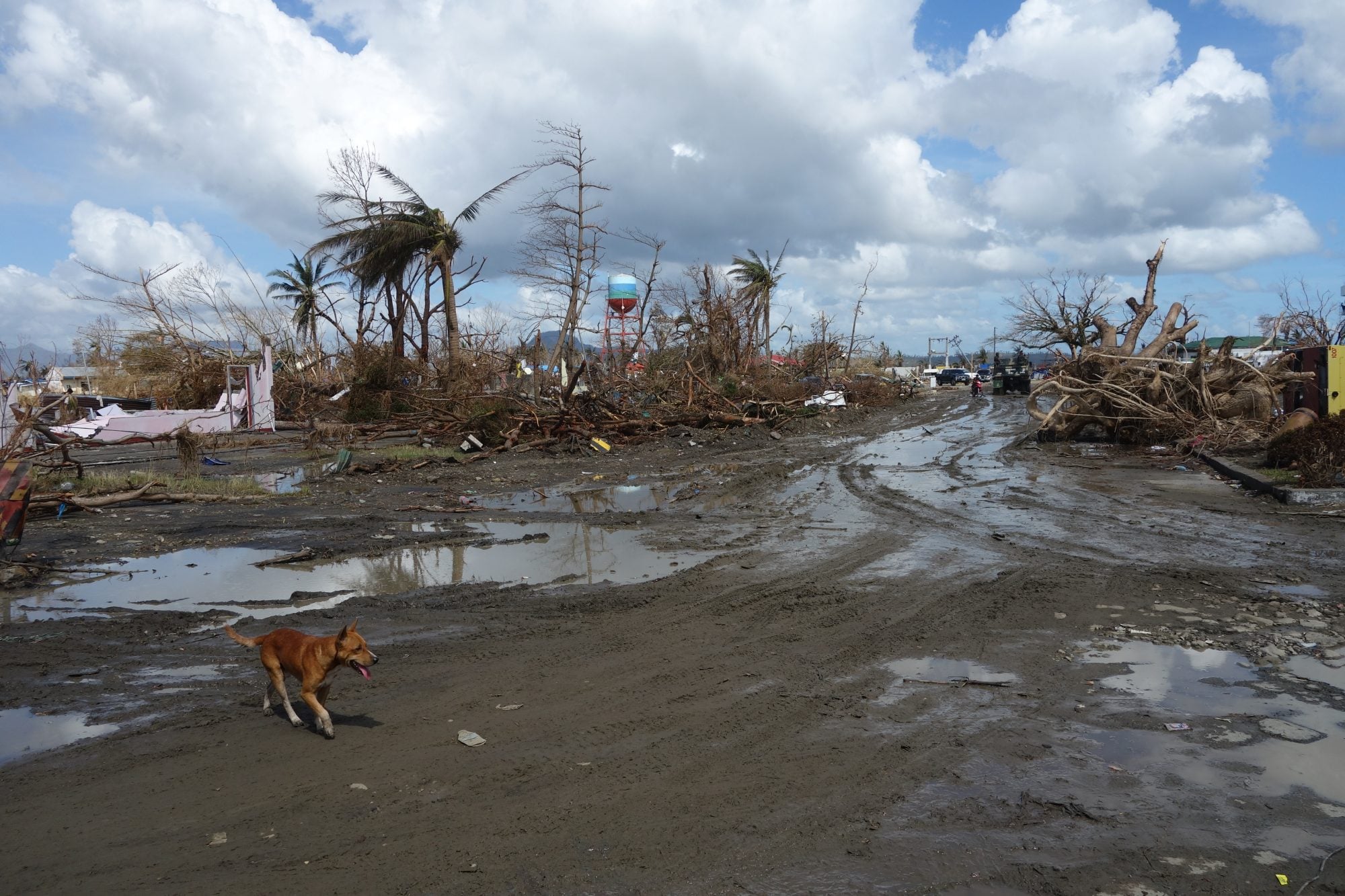 Haiyan richtte heel wat schade aan in 2013