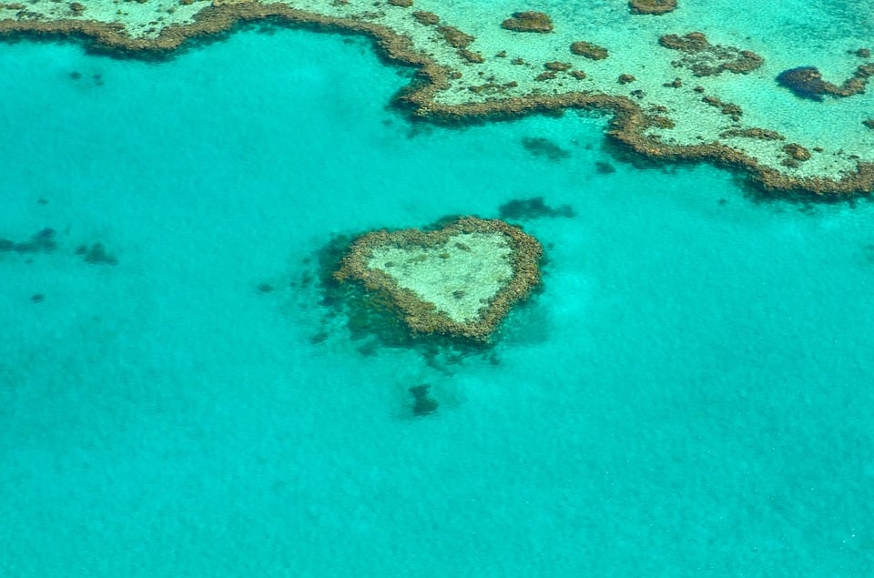 Invloed van zuurstofverarming op het Great Barrier Reef in Australië