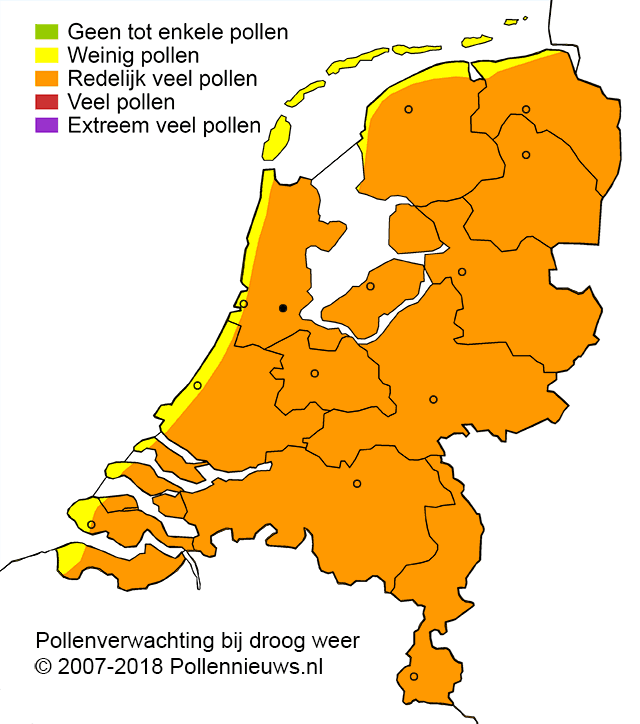 Actuele pollen in Nederland