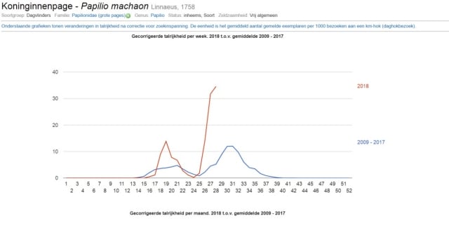 Koninginnenpage trend Vlaanderen waarnemingen.be