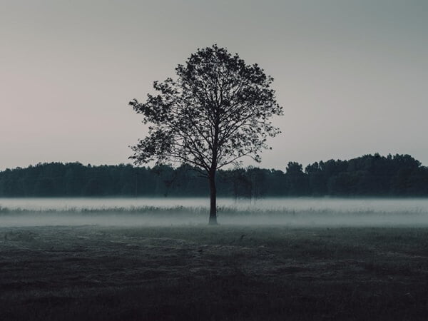 Ontstaan van mist door stralingskoude