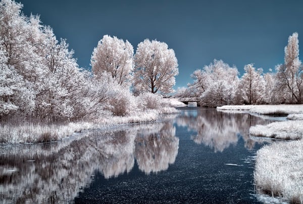 Winterlandschap