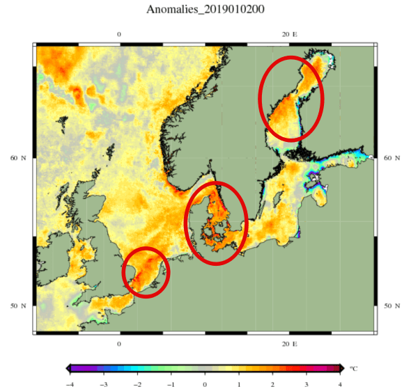 Afwijking zeewatertemperatuur Noord-West Europa.