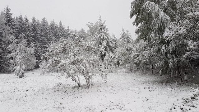sneeuw Samrée