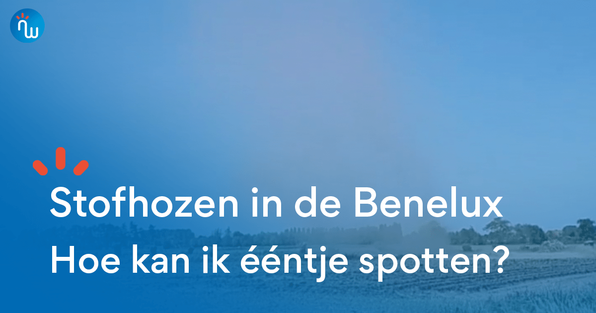 Stofhoos Wat zijn stofhozen en hoe ontstaan ze? - NoodweerBenelux