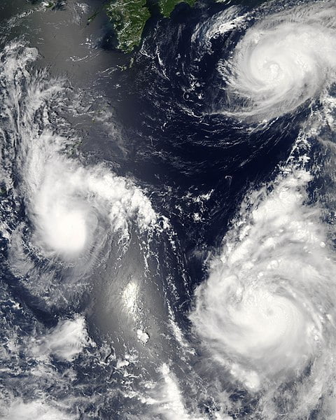 Tropische storm Bopha (links) en typhoons Maria (rechtsboven) en Saomai (rechtsonder) kenden op 7 augustus 2006 alle drie een andere ontwikkeling.