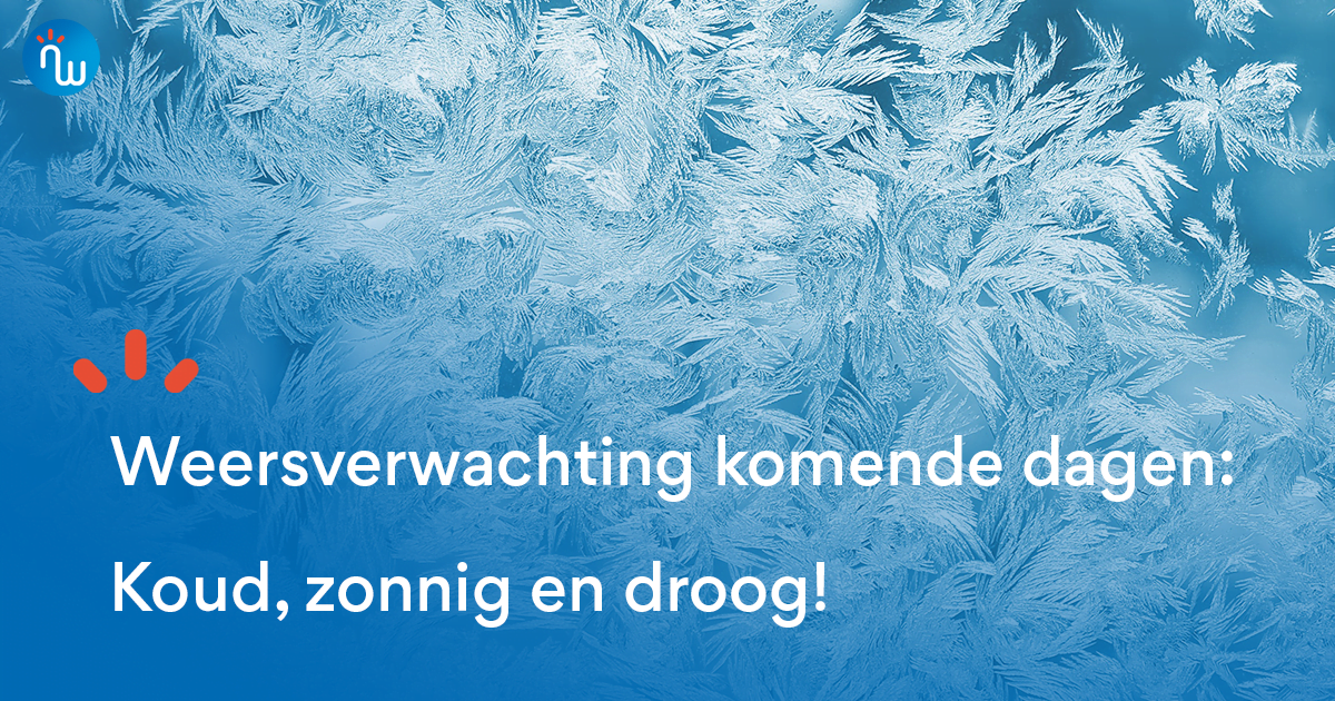 Functionele bivakmutsen van schapenwol Merino dames - Schapenwolproducten