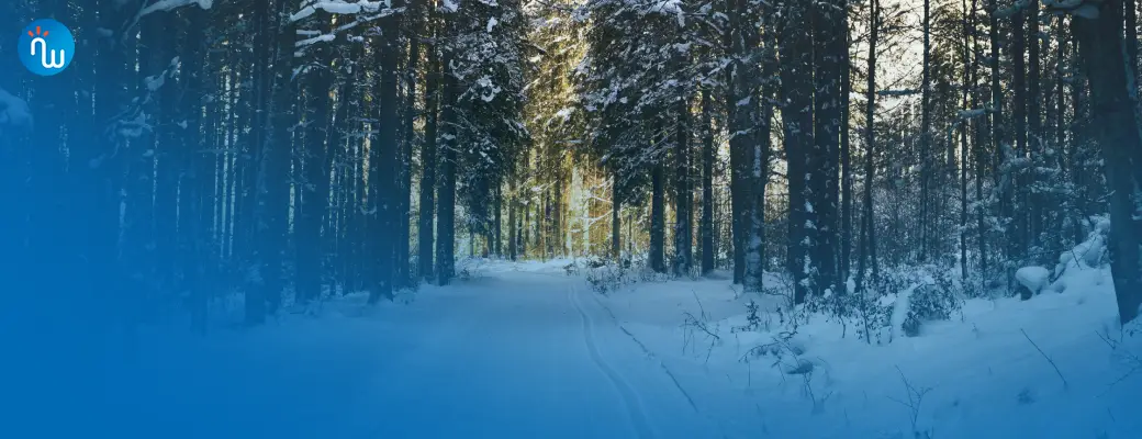 Winters weekend: hoeveel sneeuw valt er?