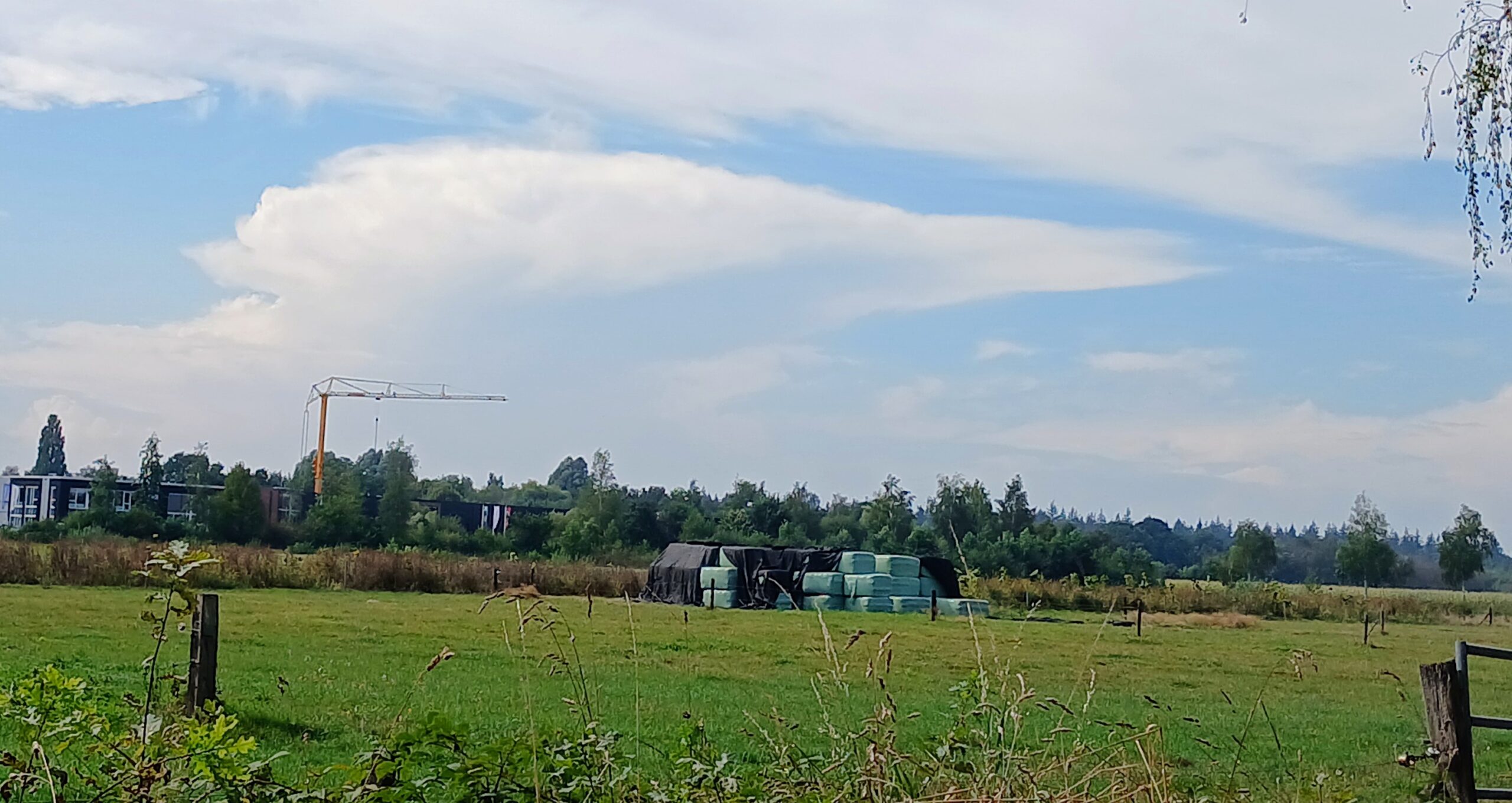 Ray – Apeldoorn